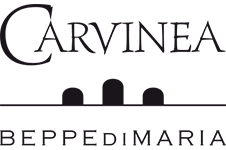 Carvinea