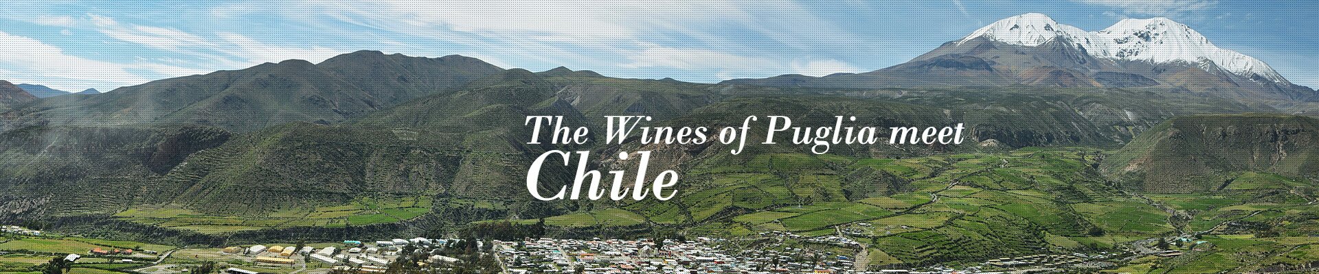 The Wines of Puglia meet Chile